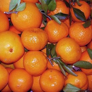 Mandarin-Oranges