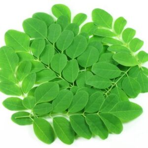 organic-moringa-leaves-500x500