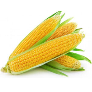 yellow-sweet-corn