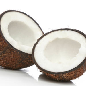 Coconut on a white background