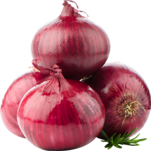 fresh-onion-500x500-300x300